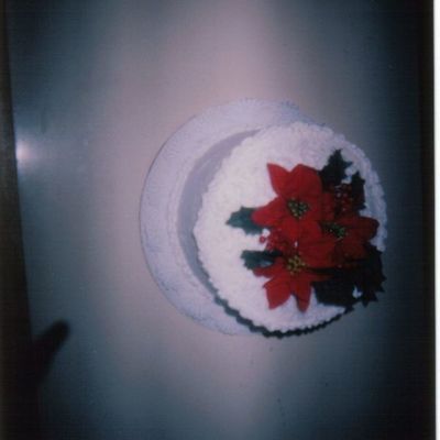 Christmas_Coconut_Cake.jpg