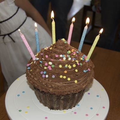 Cup Cake