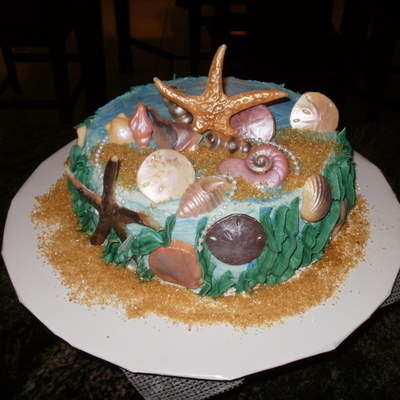 Another Shell Cake!