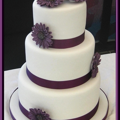 Purple Gerberas