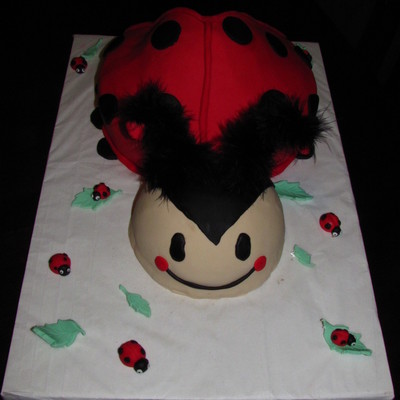 1St Birthday Ladybug Cake