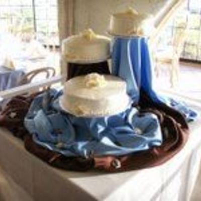 My First Wedding Cake Con't