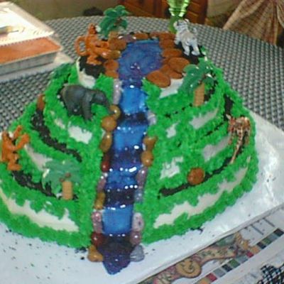 Joshua's Jungle Safari