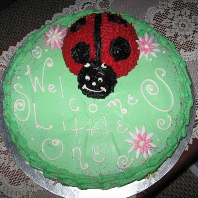 Lady Bug Baby Shower Cake