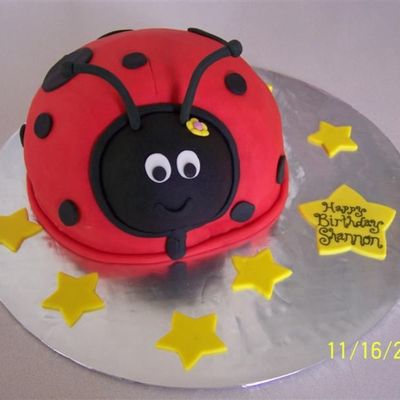 Lady Bug Birthday