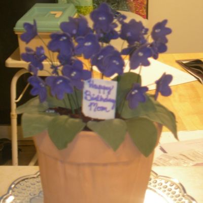 Violets For My Mommy