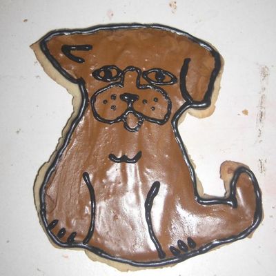 Dog Cookie