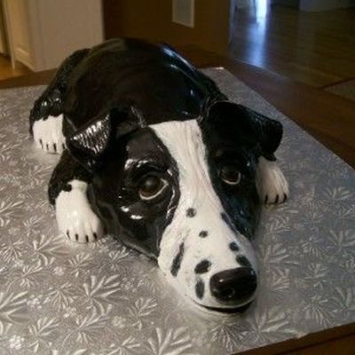 Border Collie Cake