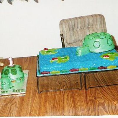 Turtle Cake