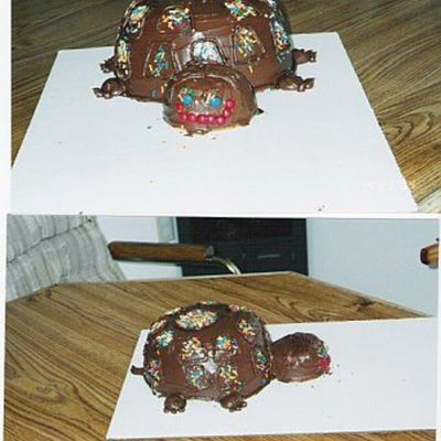 Practice Turtle Cake