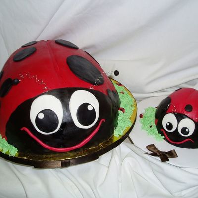 Lady Bug's!!