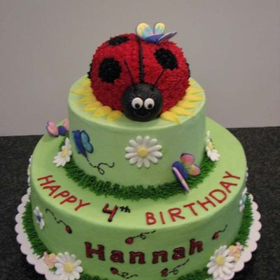 Ladybug Cake