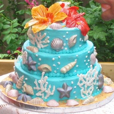 Tropical, Beach & Shells