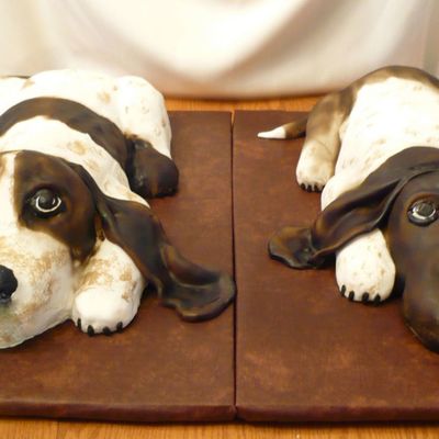 Bassett Hounds