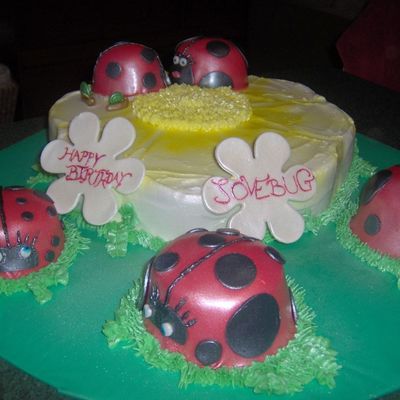 Ladybugs