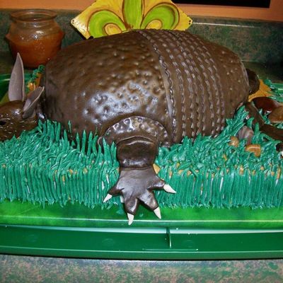 Ernie's Armadillo