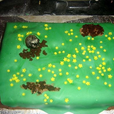 Another Book Report Cake Badgers