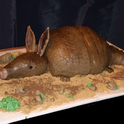 Birthday Armadillo