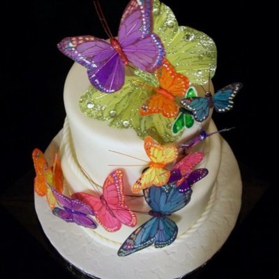 Butterfly Rainbow Wedding