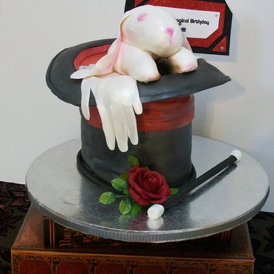 Rabbit And Magician's Hat