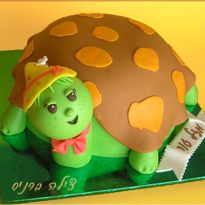 Turtle Cake