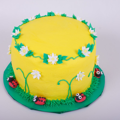 Smash Cake With Lady Bugs & Flowers