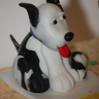 Black And White Doggie