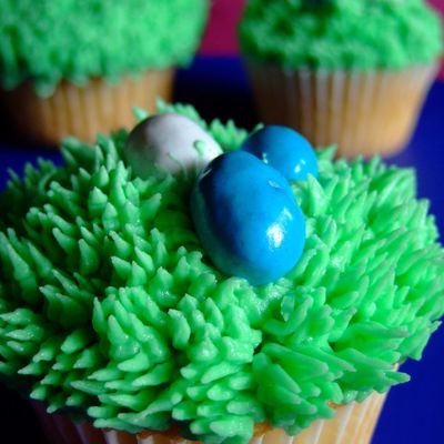 Cupcakes For The Kids