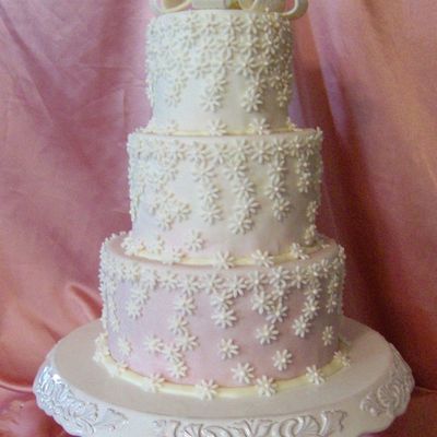 White Daisies With A Touch Of Pink