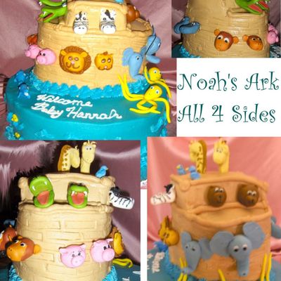 Noah's Ark All Sides