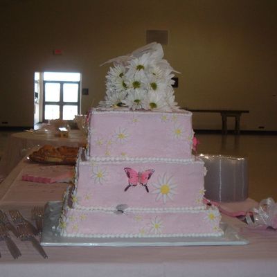 Pink Square Daisy Butterfly Cake