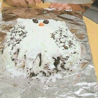 Tom's Owl Cake