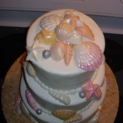 Seashell Sweet 16Th Birthday (Another Angle)