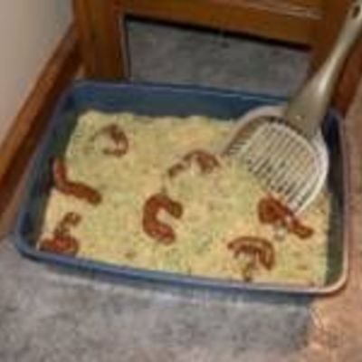 Kitty Litter Cake