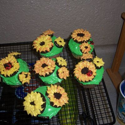 Sunflower Cupcakes