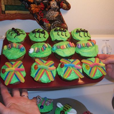 Ant, Caterpillar & Dragonfly Cupcakes