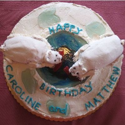 Twins' Polar Bear Cake