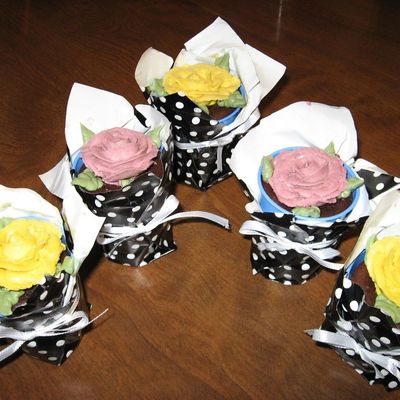 Cupcake Plant