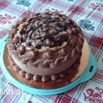 Pecan/chocolate Coconut Cake