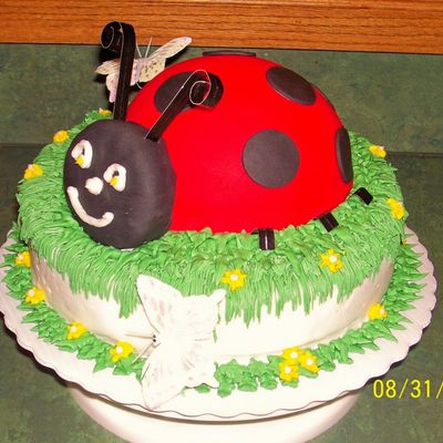 Ladybug