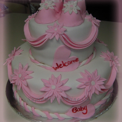 Pink And White Daisies And Booties