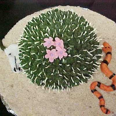 Colette Cactus With Added Features