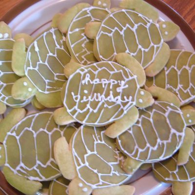 Sea Turtle Cookies