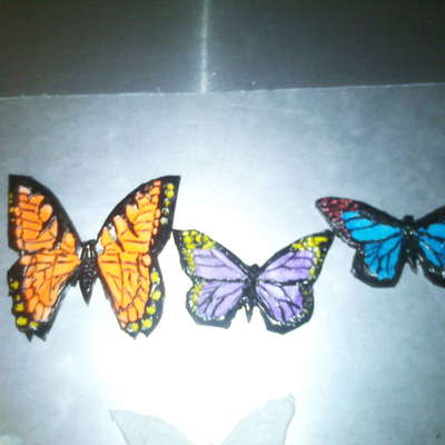 Butterflies