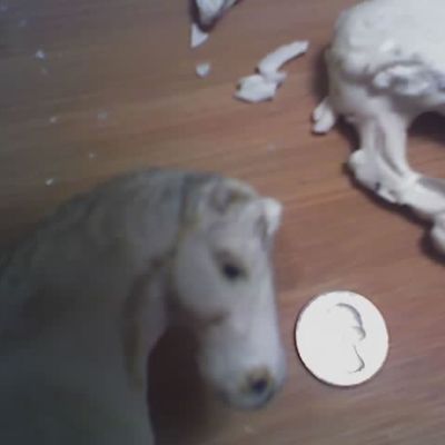 New Cinderella Horse