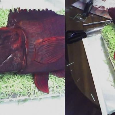 A Kosher Passover Red Snapper