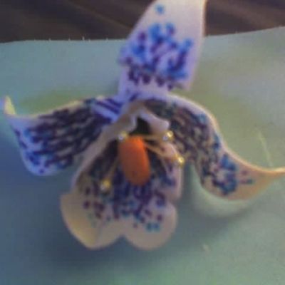 Orchid 3
