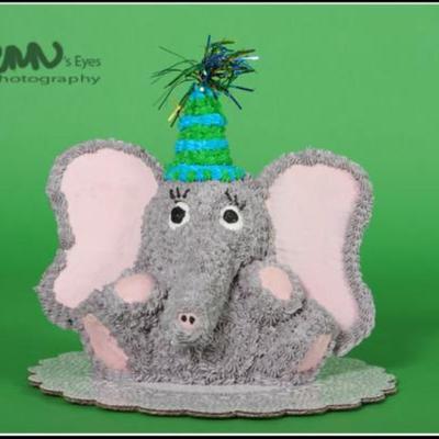 Zachary's Elephant