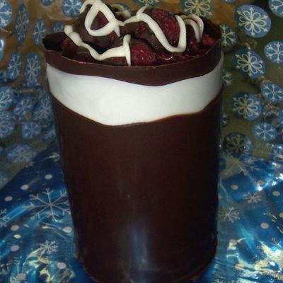 Chocolate Wrapped Fudge Cake With Raspberries