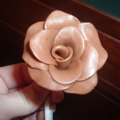 Very First Toosie Roll Rose!!!